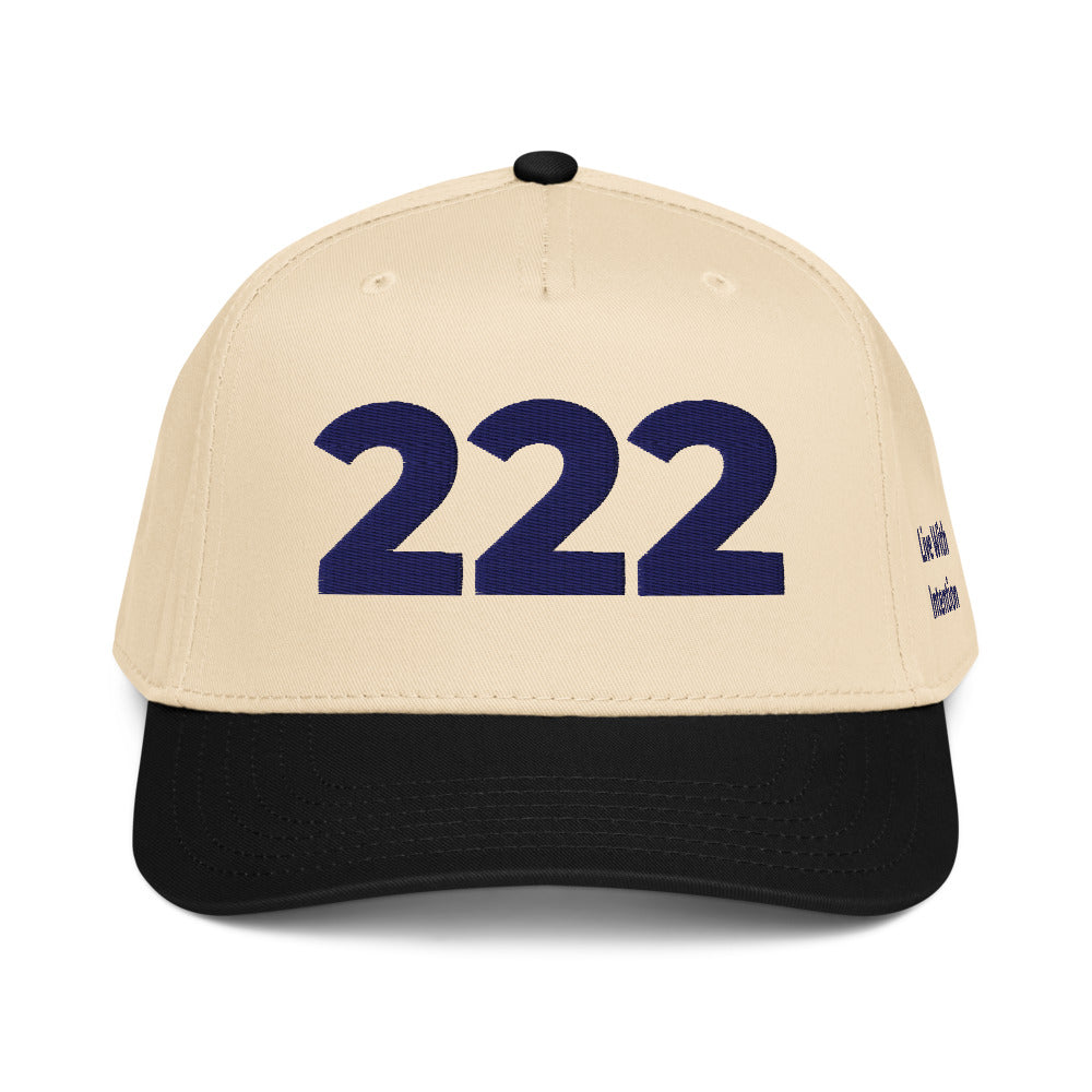 Angel Number 222 5 Panel Cap, side