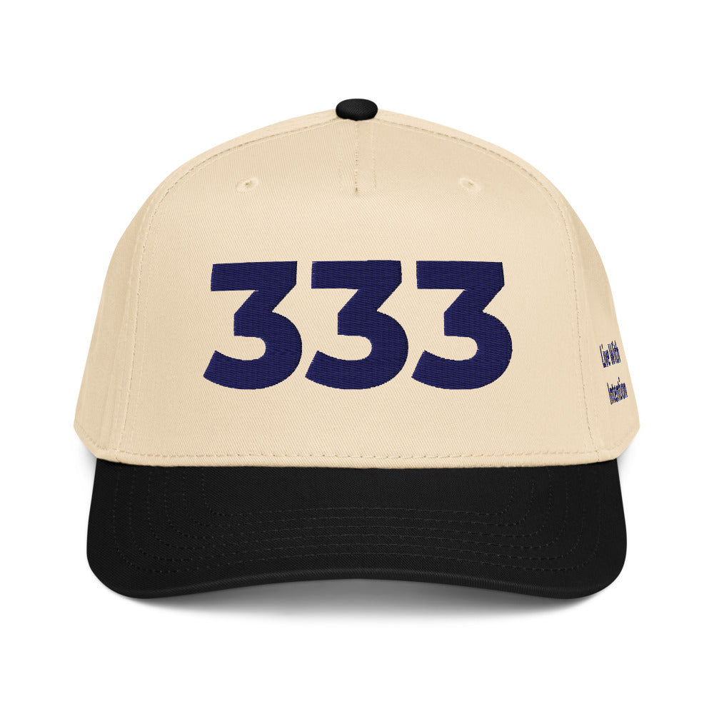 Angel Number 333 5 Panel Cap, front