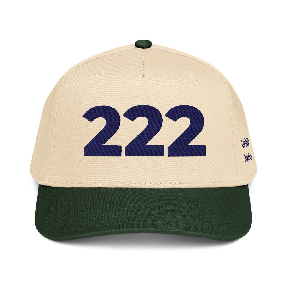 Angel Number 222 5 Panel Cap, front