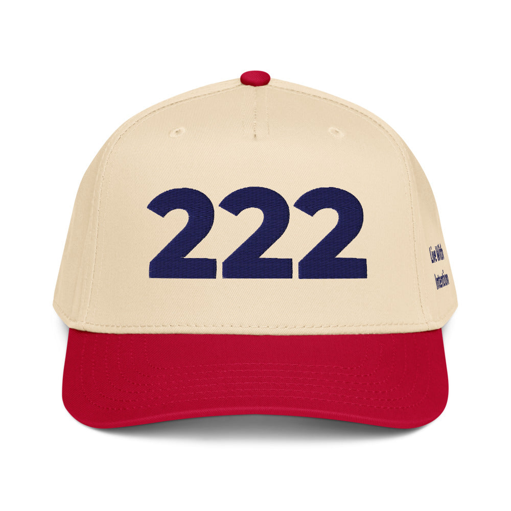 Angel Number 222 5 Panel Cap, side