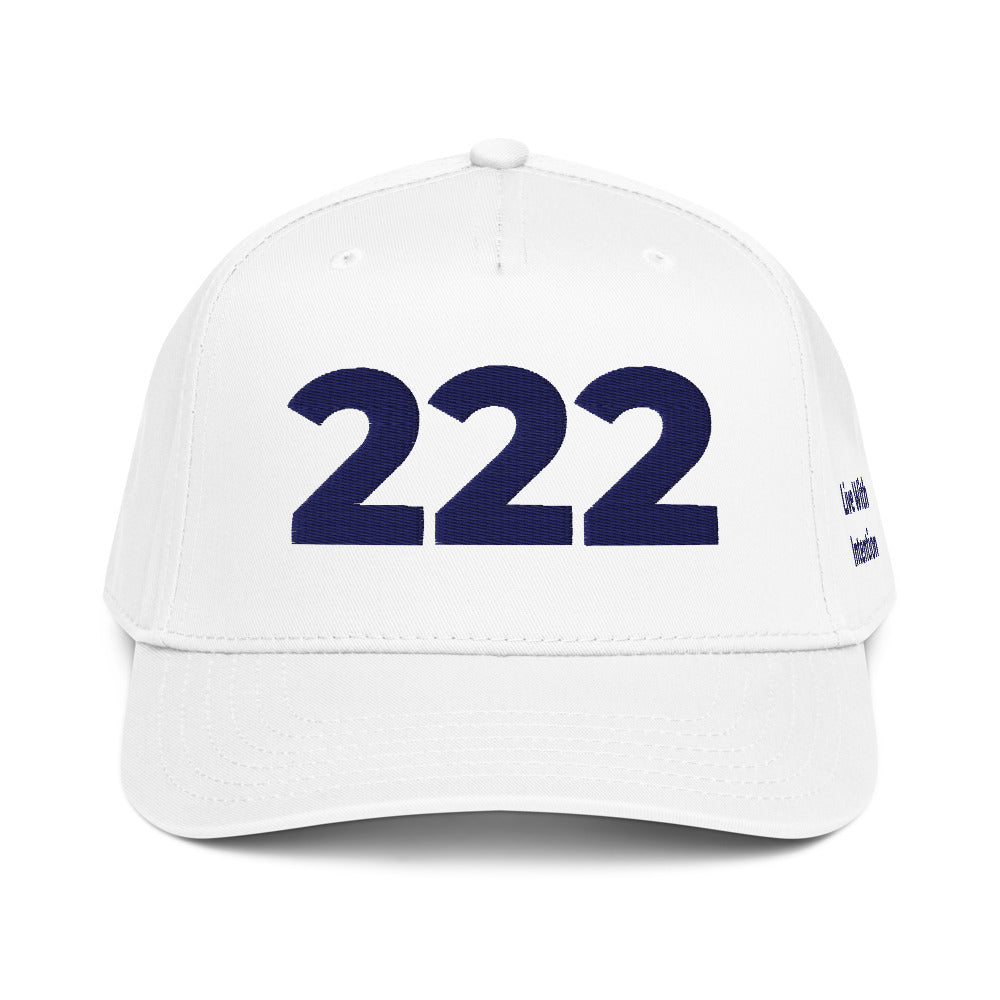 Angel Number 222 5 Panel Cap, side